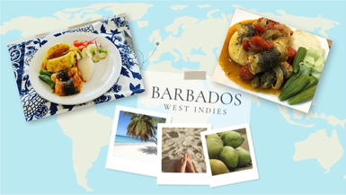 	2026 Travel & Adventure Show BARBADOS EP. 205