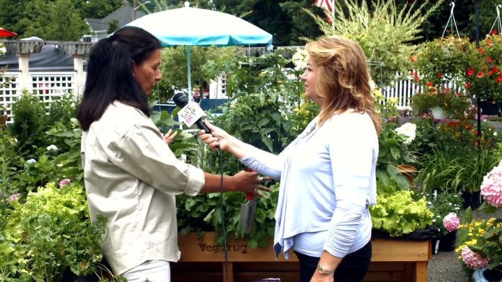 Above Ground Gardening with VegTrug at Dodds & Eder HOME 