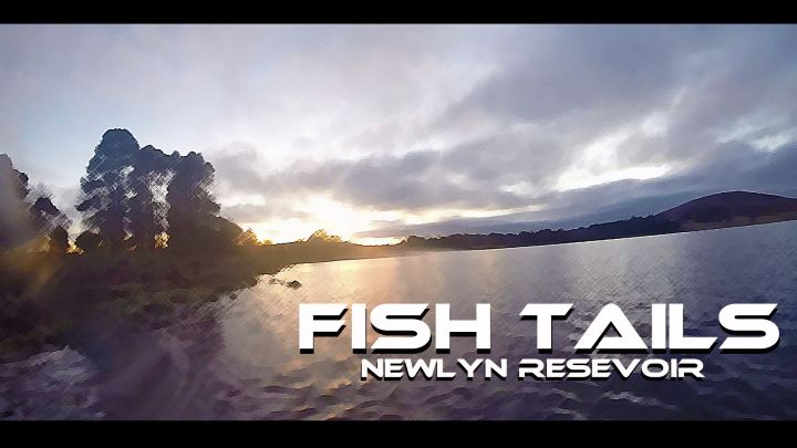 Fish Tails - Newlyn Resevoir