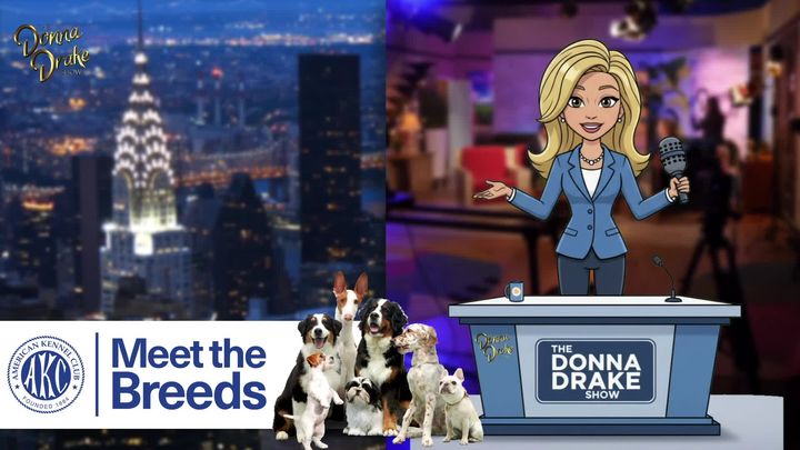 AKC x PURINA Brands: Meet The Breeds on The Donna Drake Show