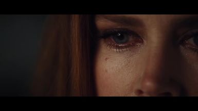 Nocturnal Animals Analysis  Differences in the Novel