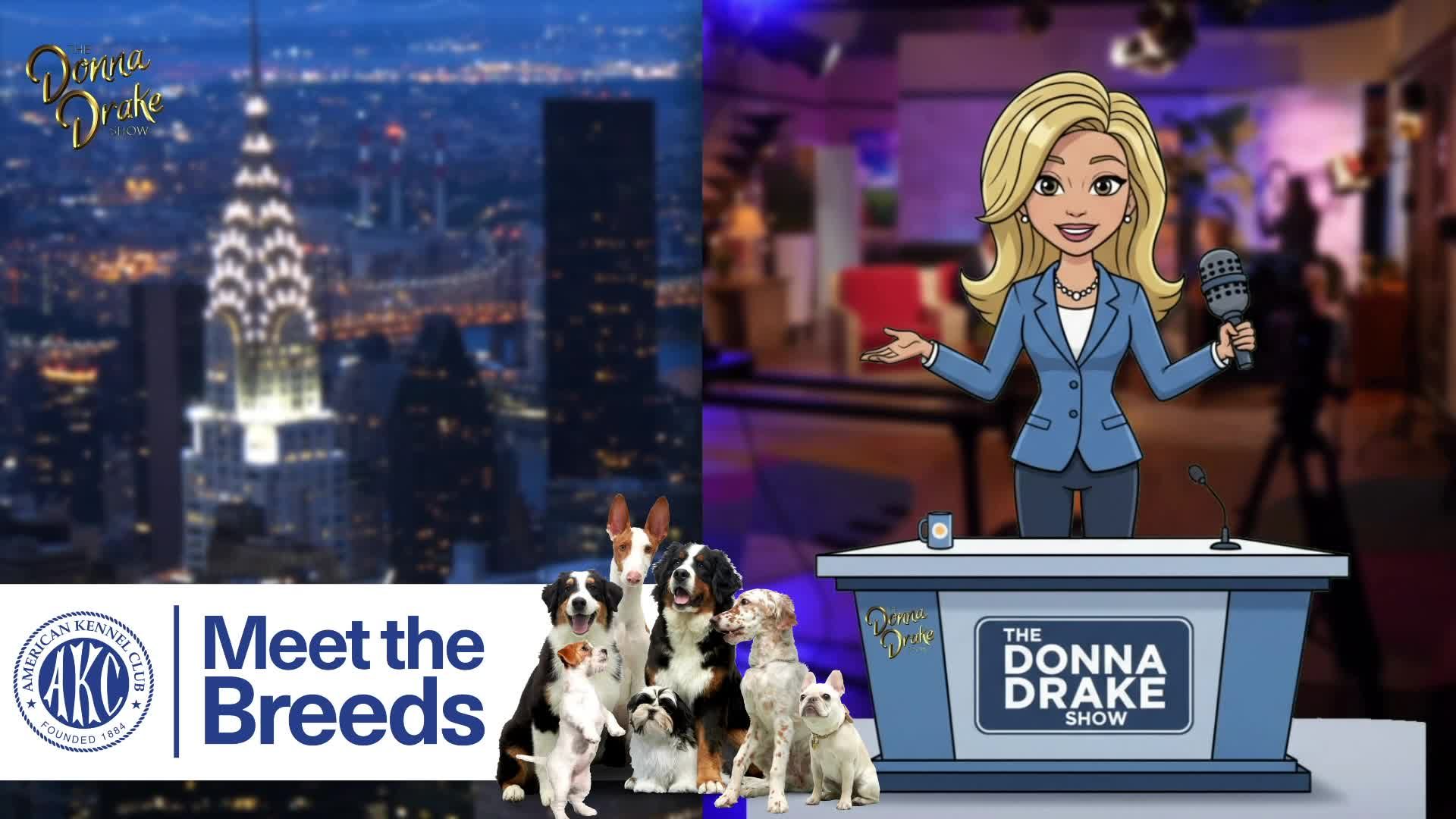 AKC x PURINA Brands: Meet The Breeds on The Donna Drake Show