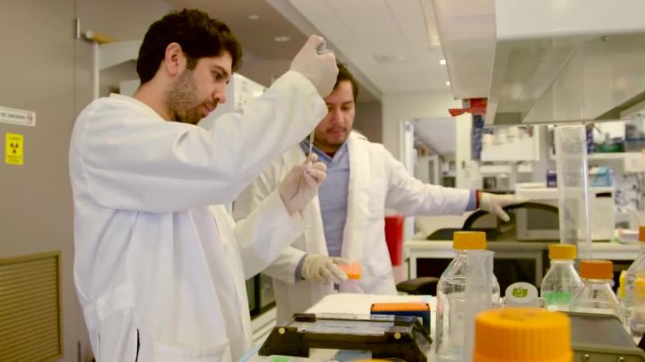 Setting Mount Sinai Apart from Other Grad Schools A School Within A Hospital