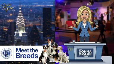 AKC x PURINA Brands: Meet The Breeds on The Donna Drake Show