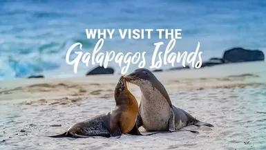 2026 Travel & Adventure Show GALAPAGOS TRAVEL EP. 209